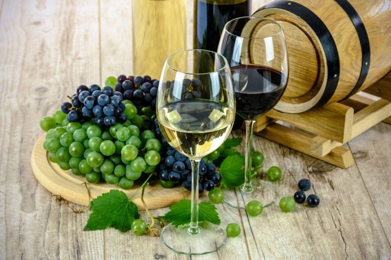 Sélection de vins du sud de France pour les cavistes et épiceries fines sur Toulouse